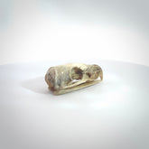 This is a hand carved deer antler bird skull pendant. It is made from deer antler, bone. This is a large sized necklace and is a very unique, one only, pendant that is a collectors piece. Hand carved deer antler bird skull necklace for men and women.